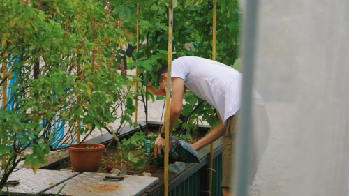 Jakarta needs to scale up urban farming amidst growing urban population: report