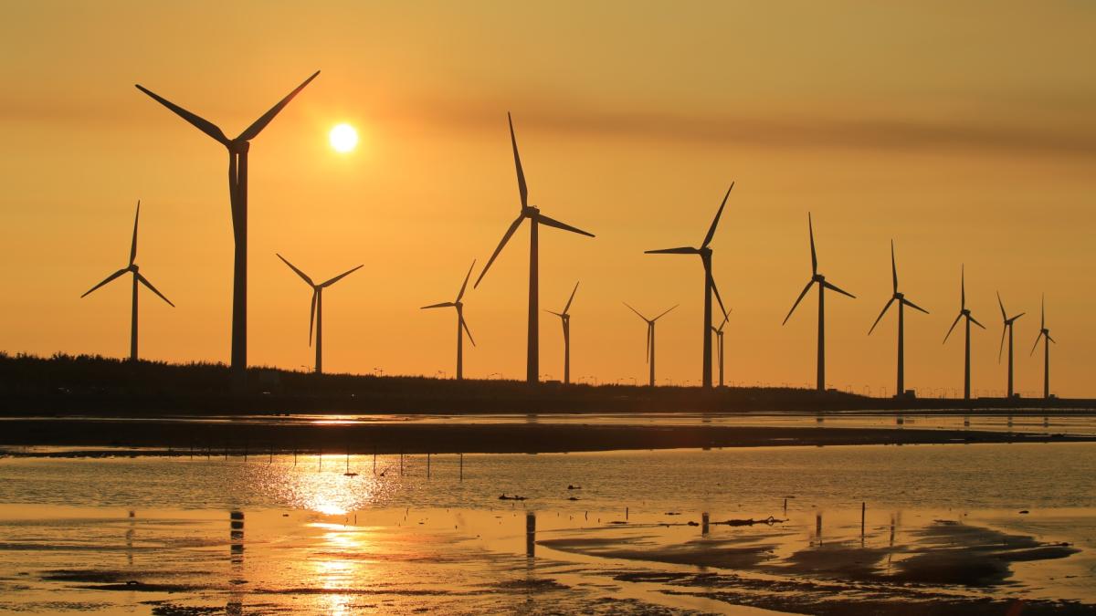 AGL global firms partner in bid to develop offshore wind in