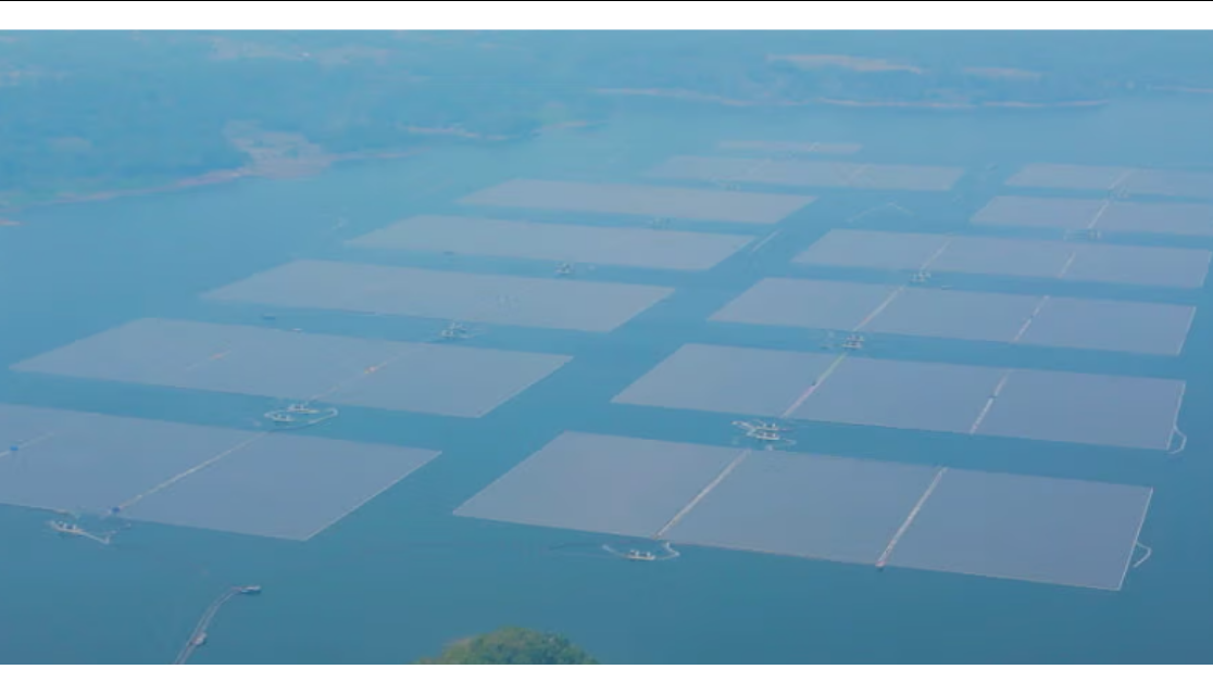 Masdar, PT PLN NR conquer Cirata reservoir’s depth for largest floating solar farm in SE Asia