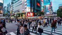 Japan's life insurers shift focus to domestic bonds: Report
