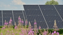 Acciona Energia acquires 80% share in Philippines’ Freya Renewables