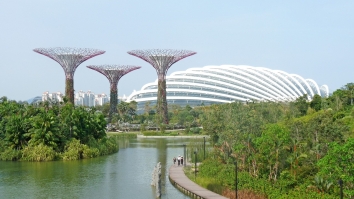Three investment strategies to boost Singapore’s green lead