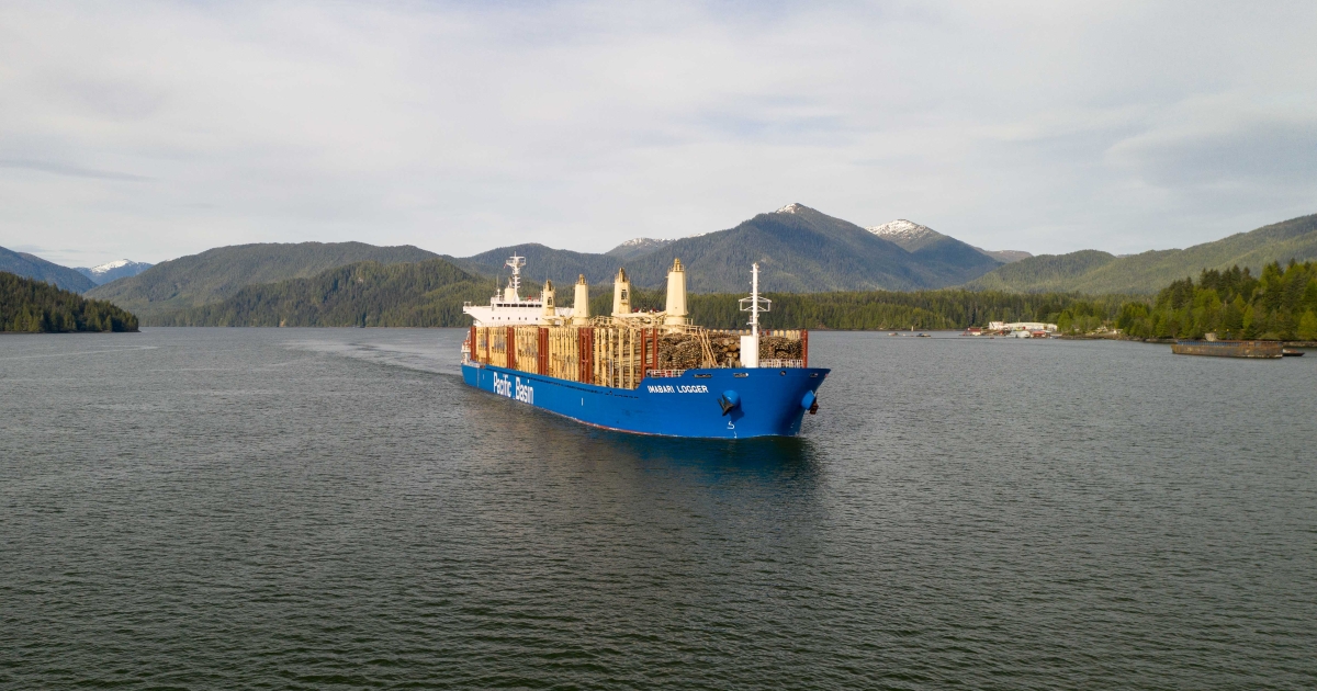 Pacific Basin Shipping spot rates could take a breather analyst Hong